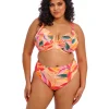 Elomi Sancho Beach Plunge Bikini Top Mango