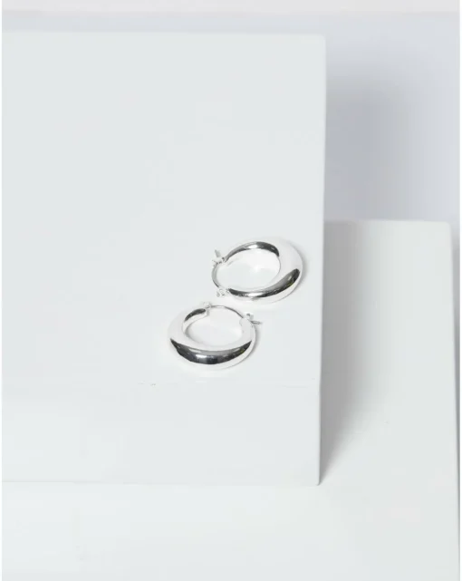 Jon Richard Silver Plated Graduated Hoop Earrings